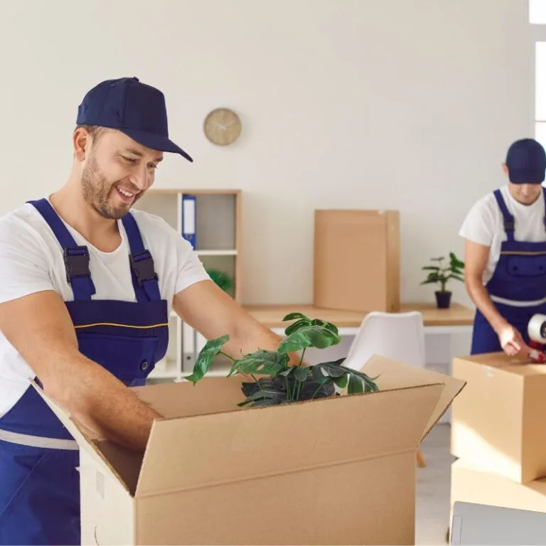cartons de déménagement