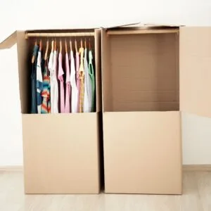 carton penderie